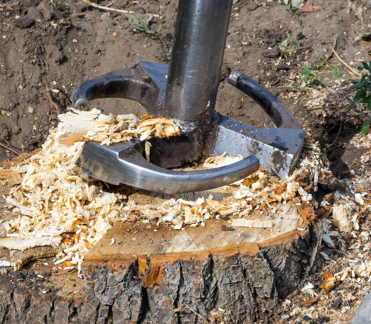 Complete Stump Removal