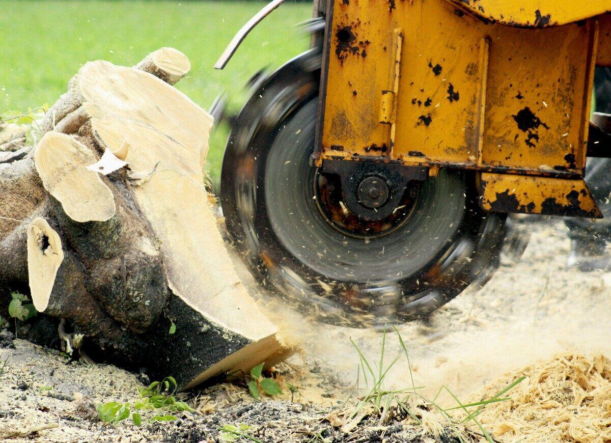 Efficient Stump Grinding