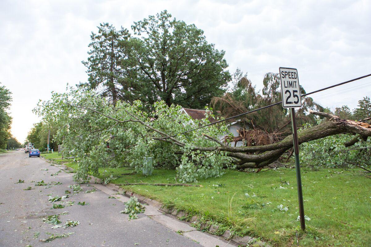 Emergency Tree Service