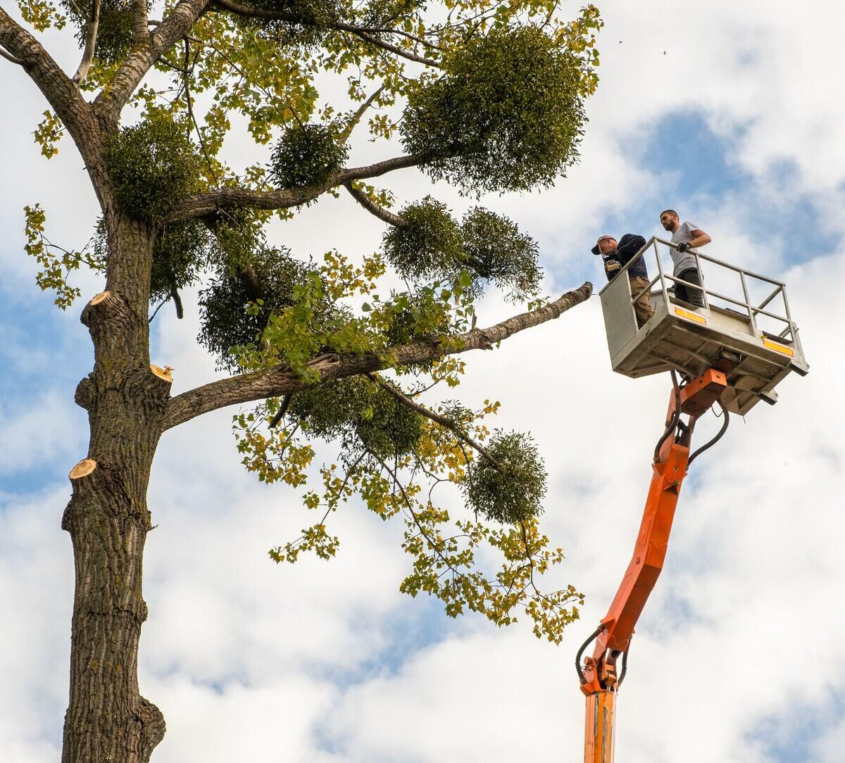 Enhancing Safety And Appearance