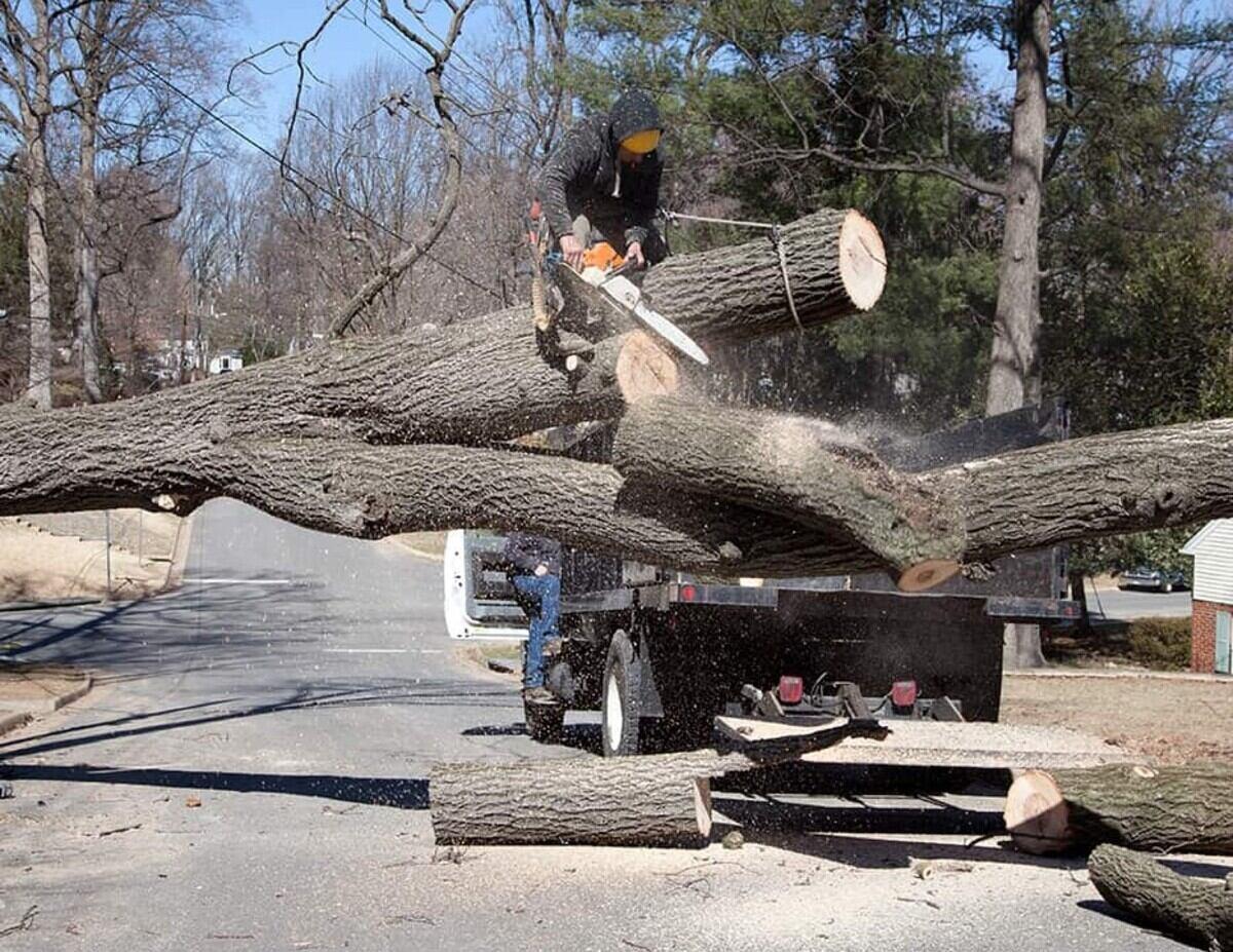 Storm Damage Cleanup