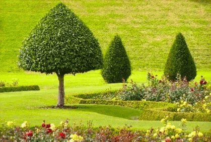1-title-image